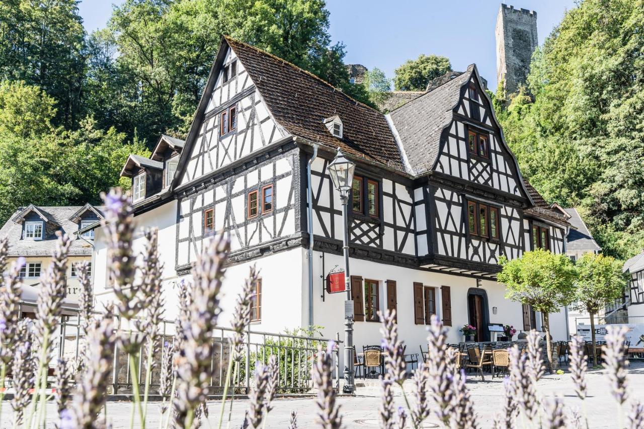 Landgasthof Zur Burg Grenzau ヘール・グレンツハウゼン エクステリア 写真